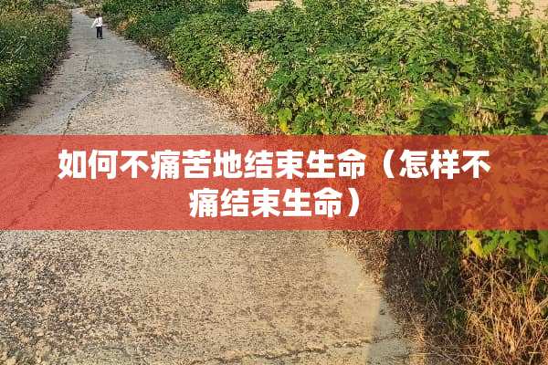 如何不痛苦地结束生命（怎样不痛结束生命）