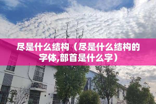 尽是什么结构（尽是什么结构的字体,部首是什么字）