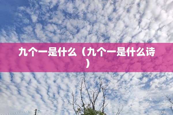 九个一是什么（九个一是什么诗）