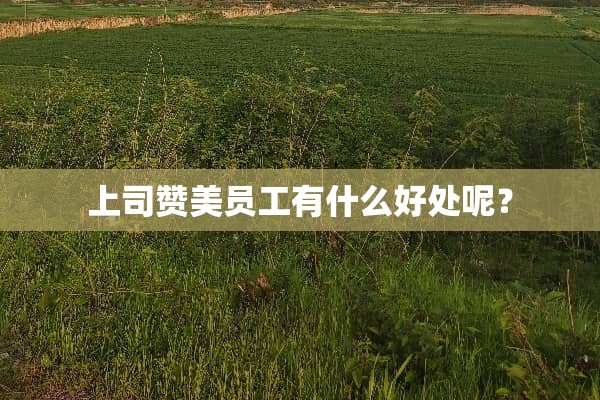 上司赞美员工有什么好处呢？