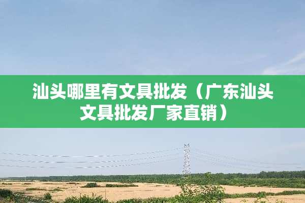汕头哪里有文具批发（广东汕头文具批发厂家直销）