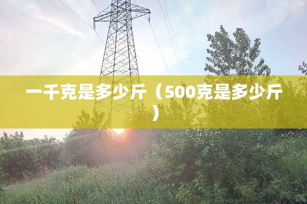 一千克是多少斤（500克是多少斤）