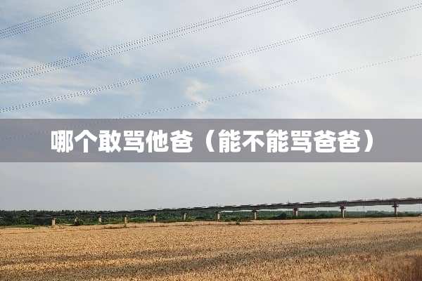 哪个敢骂他爸（能不能骂爸爸）
