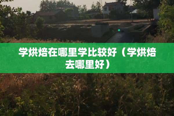 学烘焙在哪里学比较好（学烘焙去哪里好）