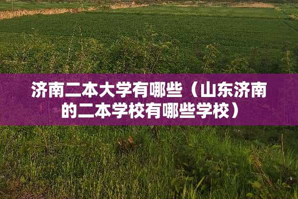 济南二本大学有哪些（山东济南的二本学校有哪些学校）
