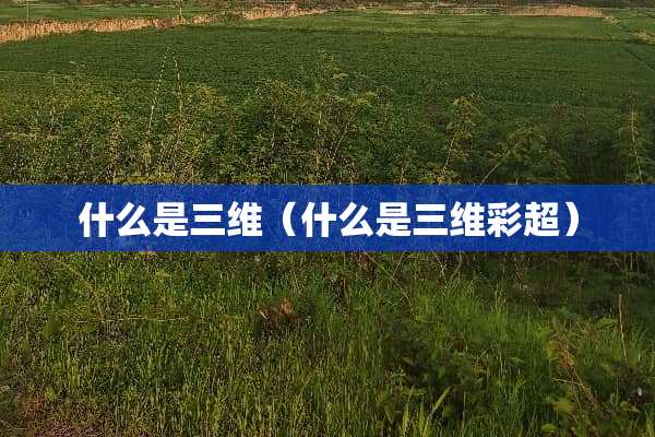 什么是三维（什么是三维彩超）