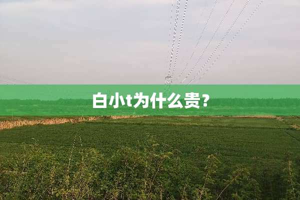 白小t为什么贵？