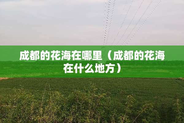 成都的花海在哪里（成都的花海在什么地方）