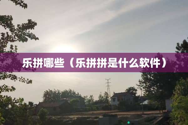 乐拼哪些（乐拼拼是什么软件）