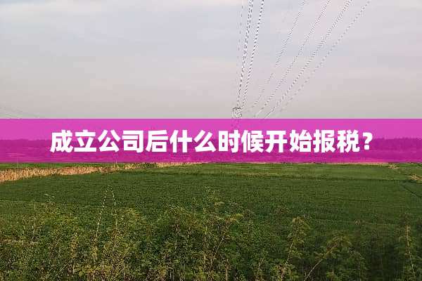成立公司后什么时候开始**？