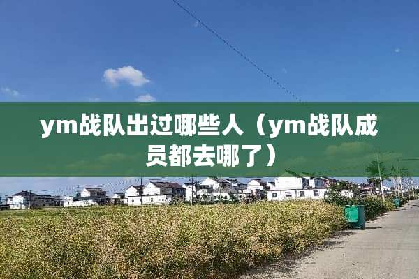 ym战队出过哪些人（ym战队成员都去哪了）
