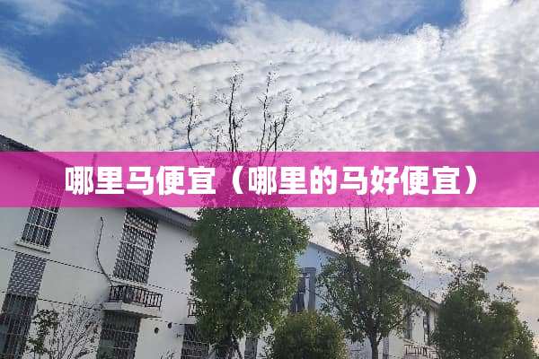 哪里马便宜（哪里的马好便宜）