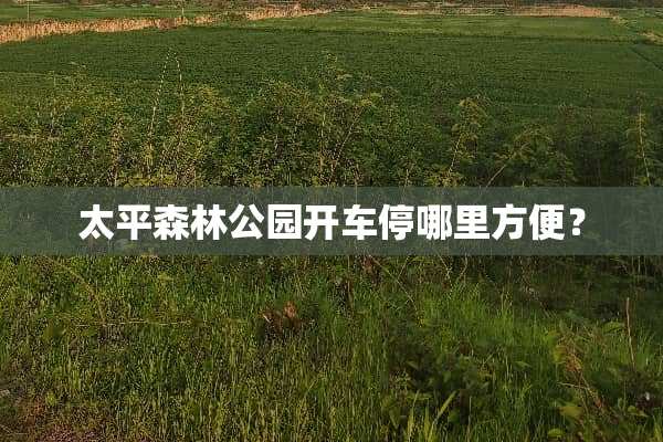 太平森林公园开车停哪里方便？