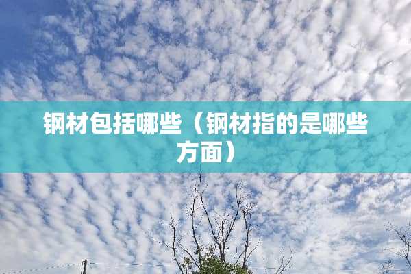 钢材包括哪些（钢材指的是哪些方面）