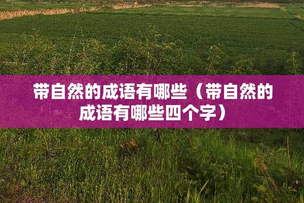 带自然的成语有哪些（带自然的成语有哪些四个字）