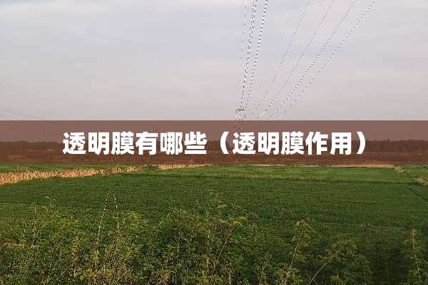 透明膜有哪些（透明膜作用）
