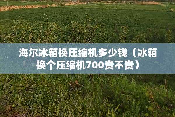 海尔冰箱换压缩机多少钱（冰箱换个压缩机700贵不贵）