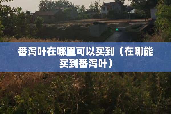 番泻叶在哪里可以买到（在哪能买到番泻叶）