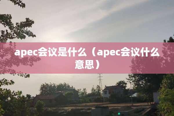 apec会议是什么（apec会议什么意思）