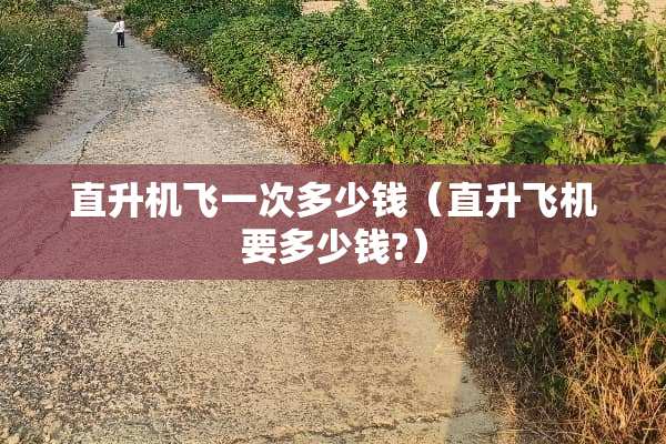 直升机飞一次多少钱（直升飞机要多少钱?）