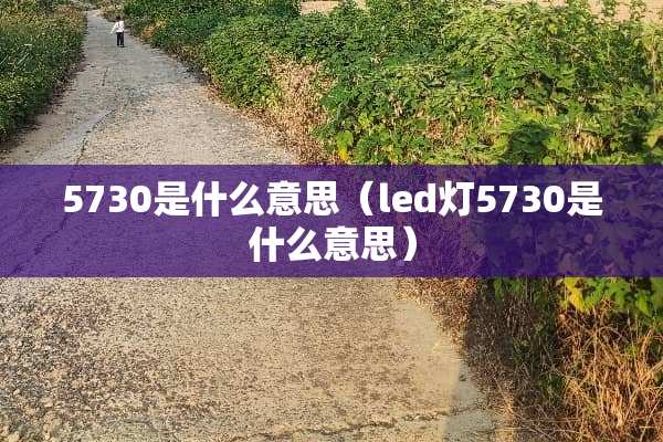 5730是什么意思（led灯5730是什么意思）