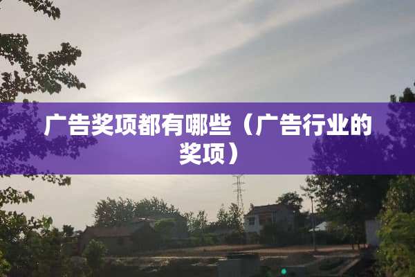 广告奖项都有哪些（广告行业的奖项）
