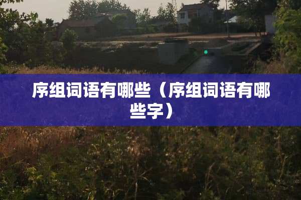 序组词语有哪些（序组词语有哪些字）