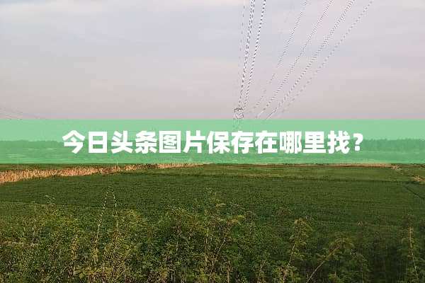 今日头条图片保存在***？