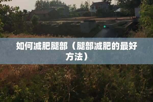 如何减肥腿部（腿部减肥的最好方法）
