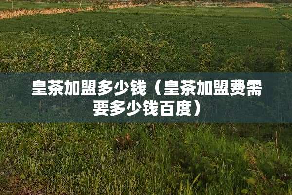 皇茶加盟多少钱（皇茶加盟费需要多少钱百度）
