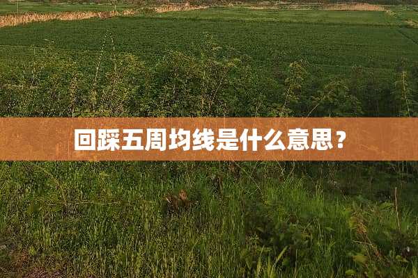 回踩五周均线是什么意思？