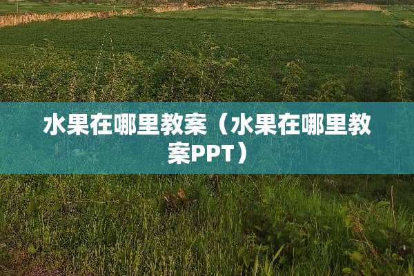 水果在哪里教案（水果在哪里教案PPT）