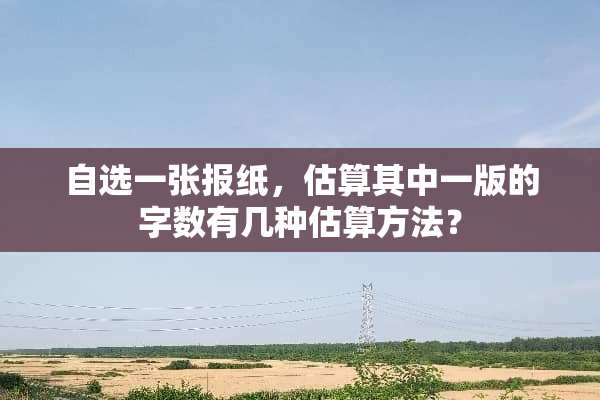 自选一张报纸，估算其中一版的字数有几种估算方法？