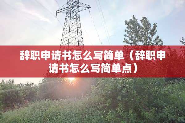 辞职申请书怎么写简单（辞职申请书怎么写简单点）