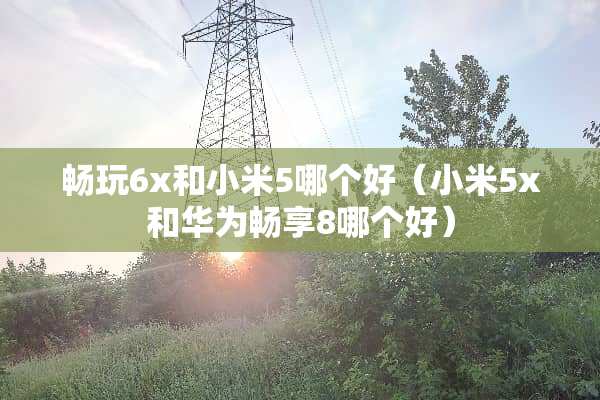 畅玩6x和小米5哪个好（小米5x和华为畅享8哪个好）