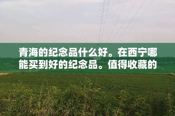 青海的纪念品什么好。在西宁哪能买到好的纪念品。值得收藏的纪念品是什么？