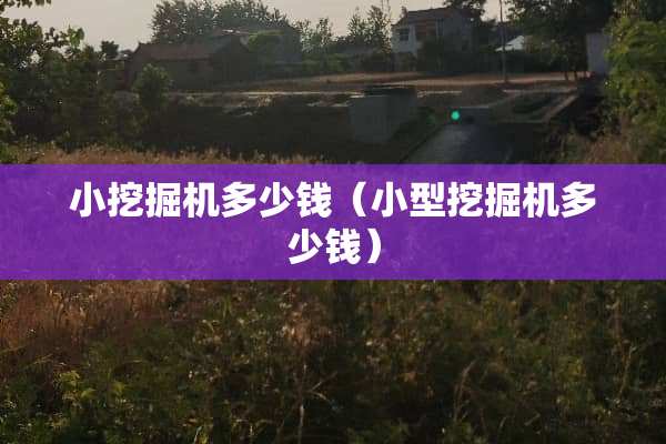 小挖掘机多少钱（小型挖掘机多少钱）