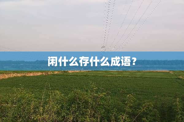 闲什么存什么成语？