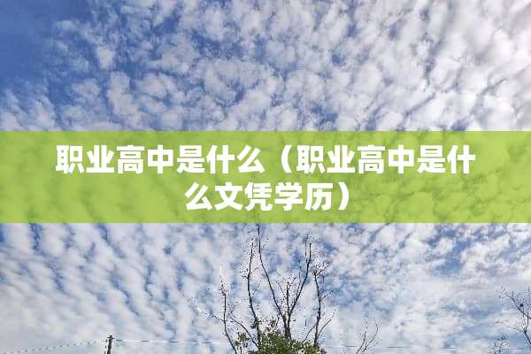 职业高中是什么（职业高中是什么文凭学历）