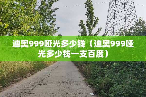 迪奥999哑光多少钱（迪奥999哑光多少钱一支百度）