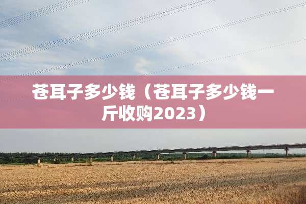 苍耳子多少钱（苍耳子多少钱一斤收购2023）