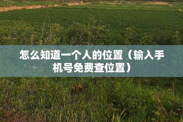 怎么知道一个人的位置（输入手机号免费查位置）