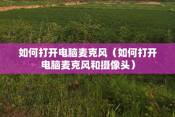 如何打开电脑麦克风（如何打开电脑麦克风和**头）