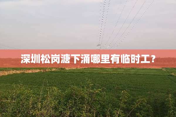 深圳松岗溏下涌哪里有临时工？
