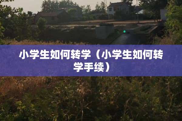 小学生如何转学（小学生如何转学手续）