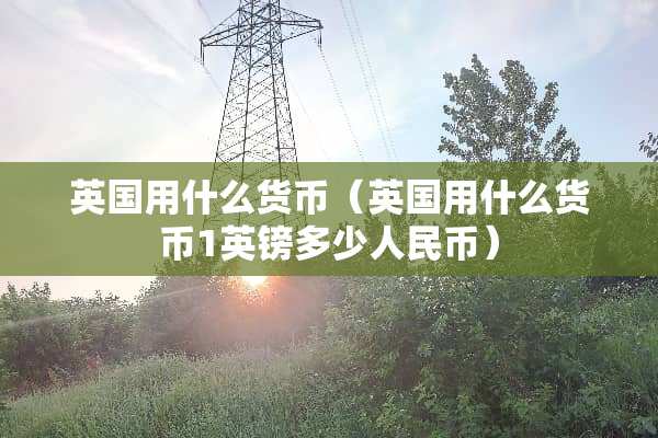 英国用什么货币（英国用什么货币1英镑多少人民币）
