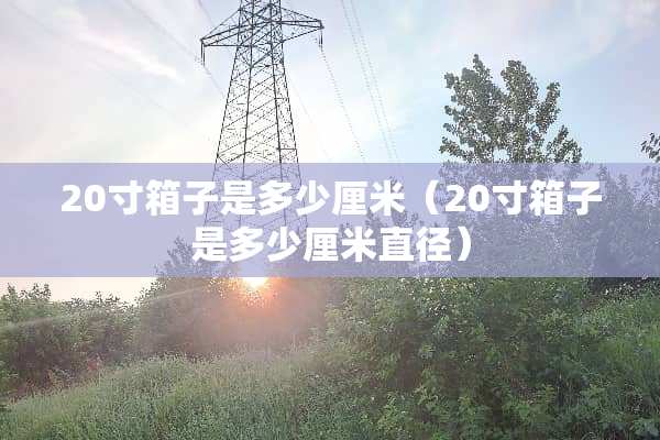 20寸箱子是多少厘米（20寸箱子是多少厘米直径）