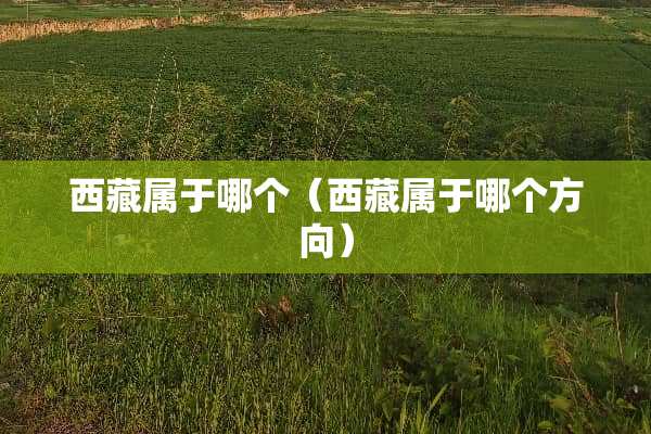 西藏属于哪个（西藏属于哪个方向）