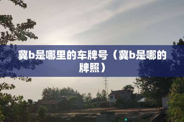 冀b是哪里的***（冀b是哪的牌照）