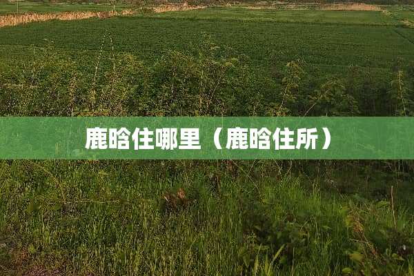 鹿晗住哪里（鹿晗住所）